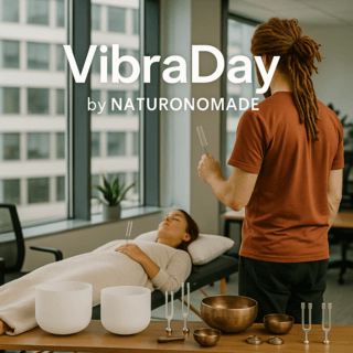 logo vibraday naturonomade.fr
